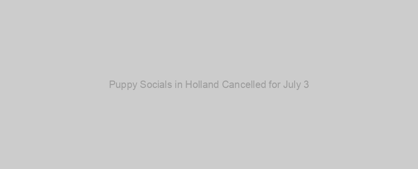 Puppy Socials in Holland Cancelled for July 3